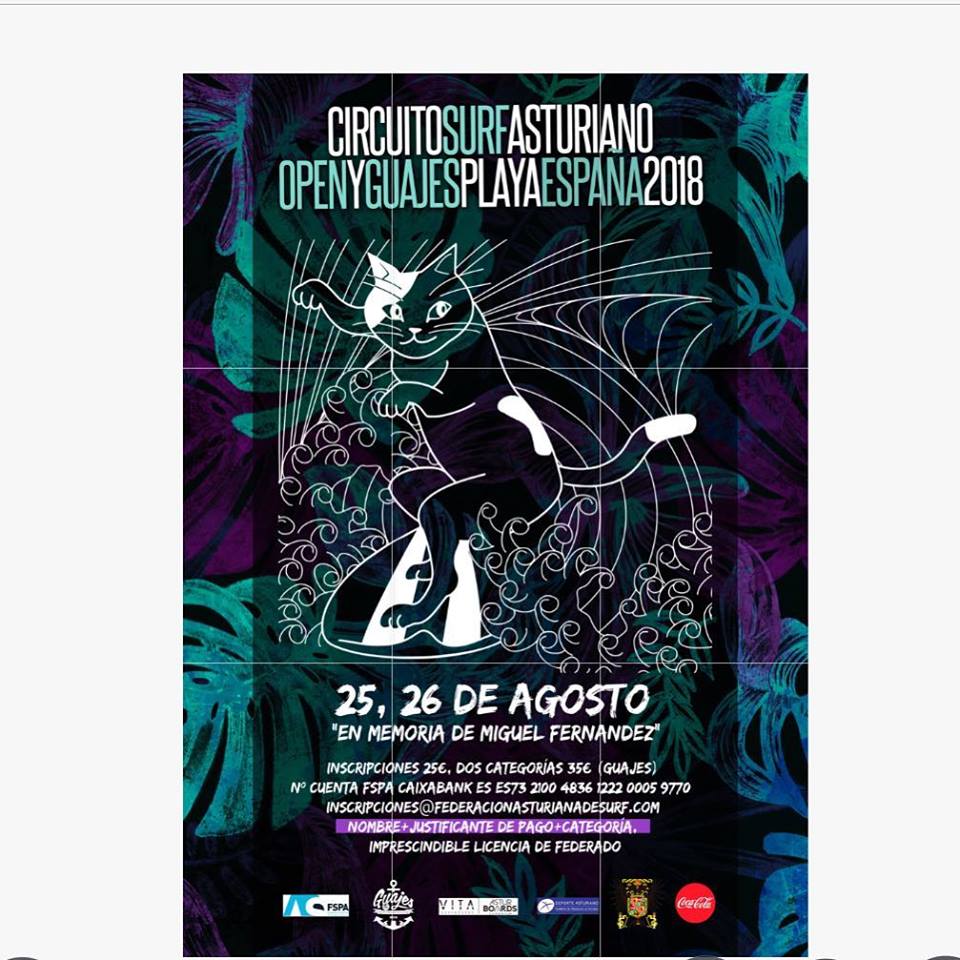 campeonato,españa, guajes,surf,open,master,sup,bodyboard,longboard