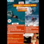 Curso de Salvamento Acuático y Primeros Auxilios Adaptado al Surf